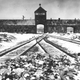 Image for article titled Why the Holocaust was even worse than we thought